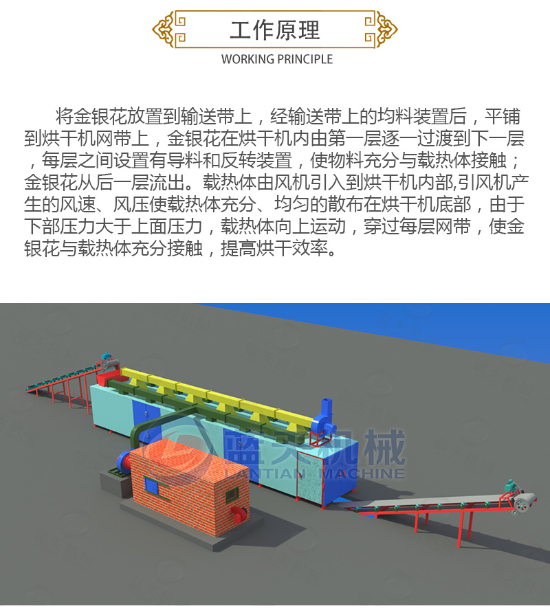 金銀花網(wǎng)帶式烘干機(jī)工作原理