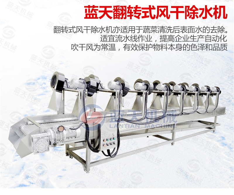 果蔬去皮機(jī)配套設(shè)備